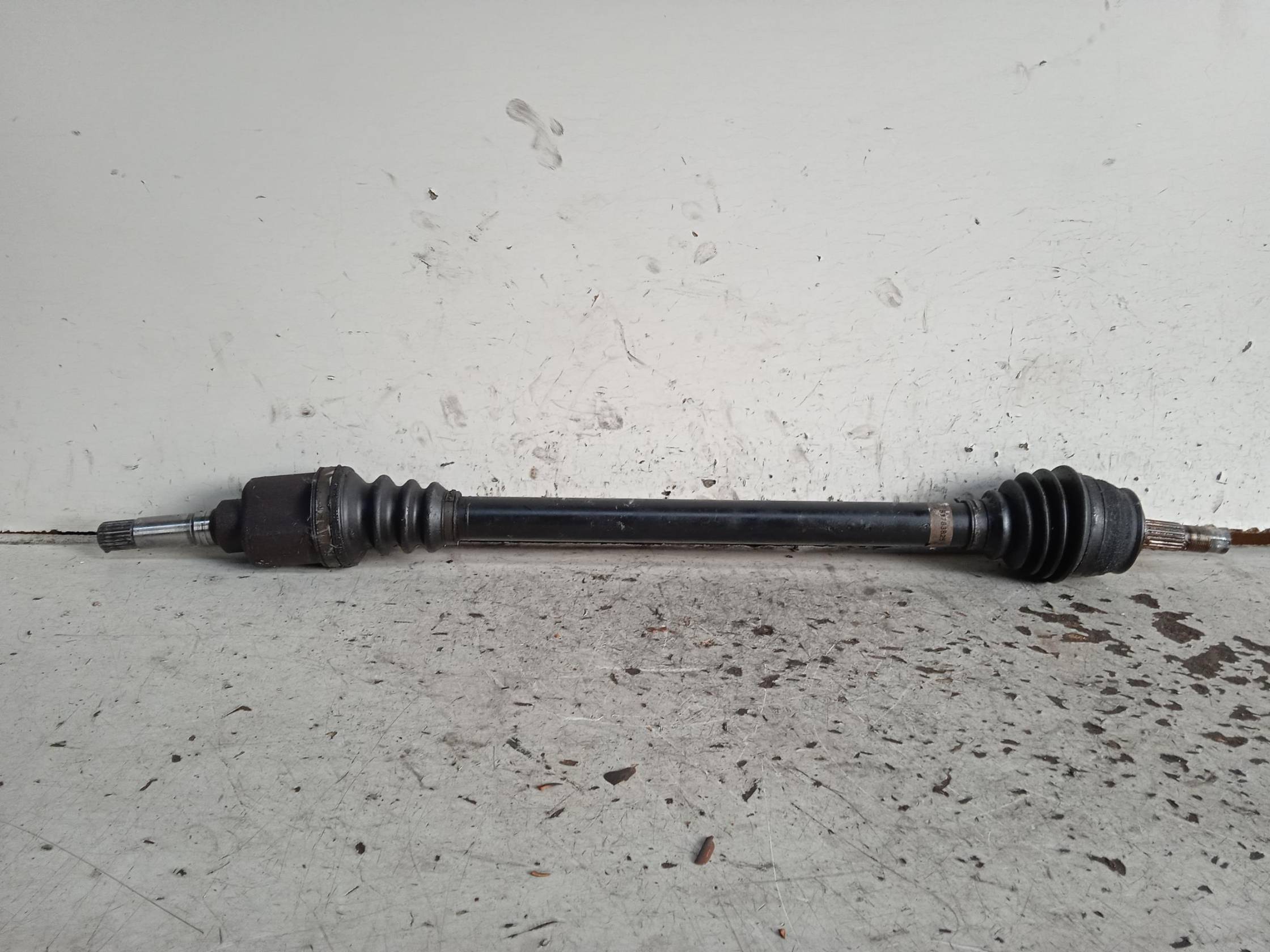 Semialbero ant. compl. dx.